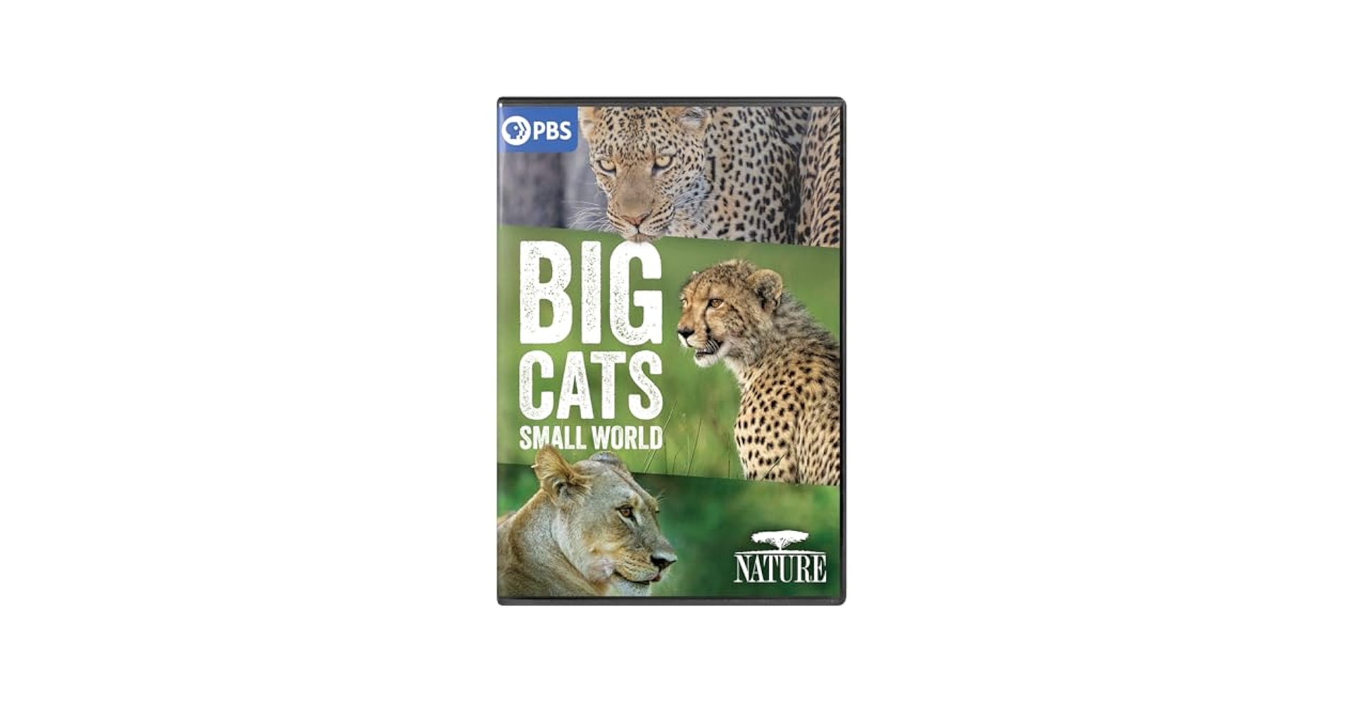 Amazon.com: NATURE: Big Cats, Small World DVD : David